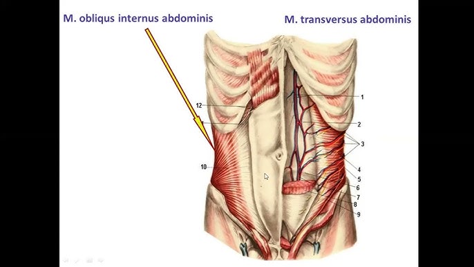 Порно онлайн