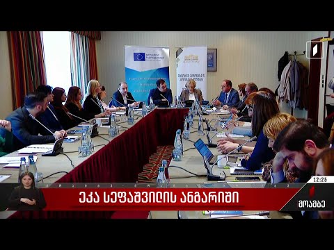 ეკა სეფაშვილის ანგარიში