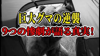 極限の恐怖！日本各地を震撼させた“連続熊襲撃”の全記録【9大熊害事件】【ゆっくり解説】