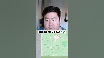 The Brazil Goat?? #geography #geoguessr #geowizard #georainbolt #googlemaps #shorts