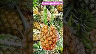 Satisfying Sweet pineapple Fruit With my picture #shorts #ytshorts #viral #fruit