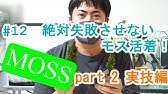 水草飼育 ウィローモスの活着実験 ベストな方法は接着剤か 糸巻きか Youtube 水草飼育 ウィローモスの活着実験 ベストな方法は接着剤か 糸巻きか Youtube
