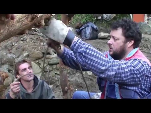 Video: Bigfoot Z Azasskej Jaskyne - Alternatívny Pohľad