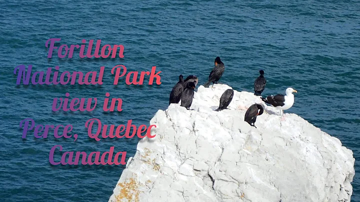 FORILLON NATIONAL PARK VIEW AND ROAD TO PERCE, QUEBEC, CA