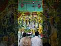 Sri Sri Radha Damodar Temple Vrindavan #govinda #damodar #madhav #krishna #vrindavan #travel #shorts