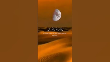وآية لهم الليل نسلخ منه النهار... #سورة #يس #اجر_لي_ولك #تيك_توك #قرآن #اكسبلور #لايك #السعودية
