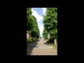小柳ルミ子    夏に萌えて