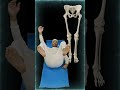 РАЗГРУЖАЕМ ТАЗОБЕДРЕННЫЕ СУСТАВЫ И НЕ ТОЛЬКО