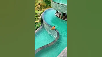 Is This The Most Amazing Pool In The World Bali 2025 