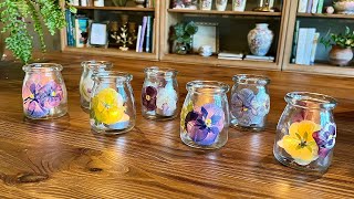 Making Flower Lanterns 🌸 | Pressed Flower Craft