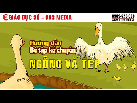 Video Ngỗng và Tép - youtube