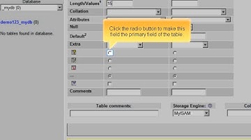 Managing a MySQL database with phpMyAdmin