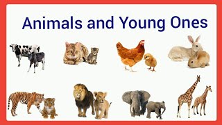 Animals and young ones/Animals and babies/Animals and their young ones for ukg/Animals babies