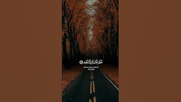 #تلاوة_هادئة # ارح سمعك _وقلبك # قرآن _كريم # راحة نفسية 😌🎧