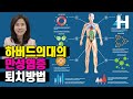 하버드 의대가 밝힌 만성염증 없애는 음식! 과학적으로 검증된 만성염증 퇴치법!