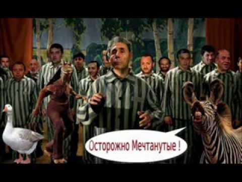 თანამხარჯველები, უკვდავი პარასიტები