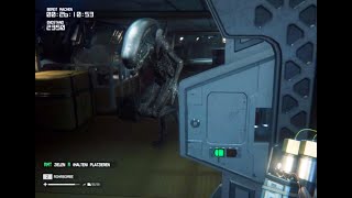 Surviving extremely close encounters [Alien Isolation]