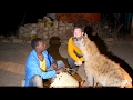 Ethiopia: Harar & Dire Dawa