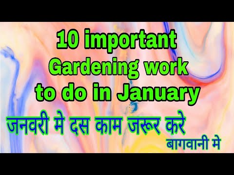 191 10 Important work of gardening to do in January(Hindi/Urdu)