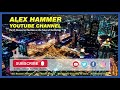 What your power struggles say about you    alex hammer channel