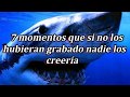 7 Momentos que si no los hubieran grabado nadie los creería | parte 19