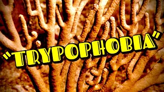 Trypophobia | SpongeBob SquarePants Creepypasta