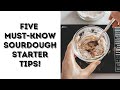 5 mustknow sourdough starter tips for beginners shorts