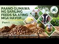 Paano gumawa ng sariling feeds para sa ating mga hayop Part 1