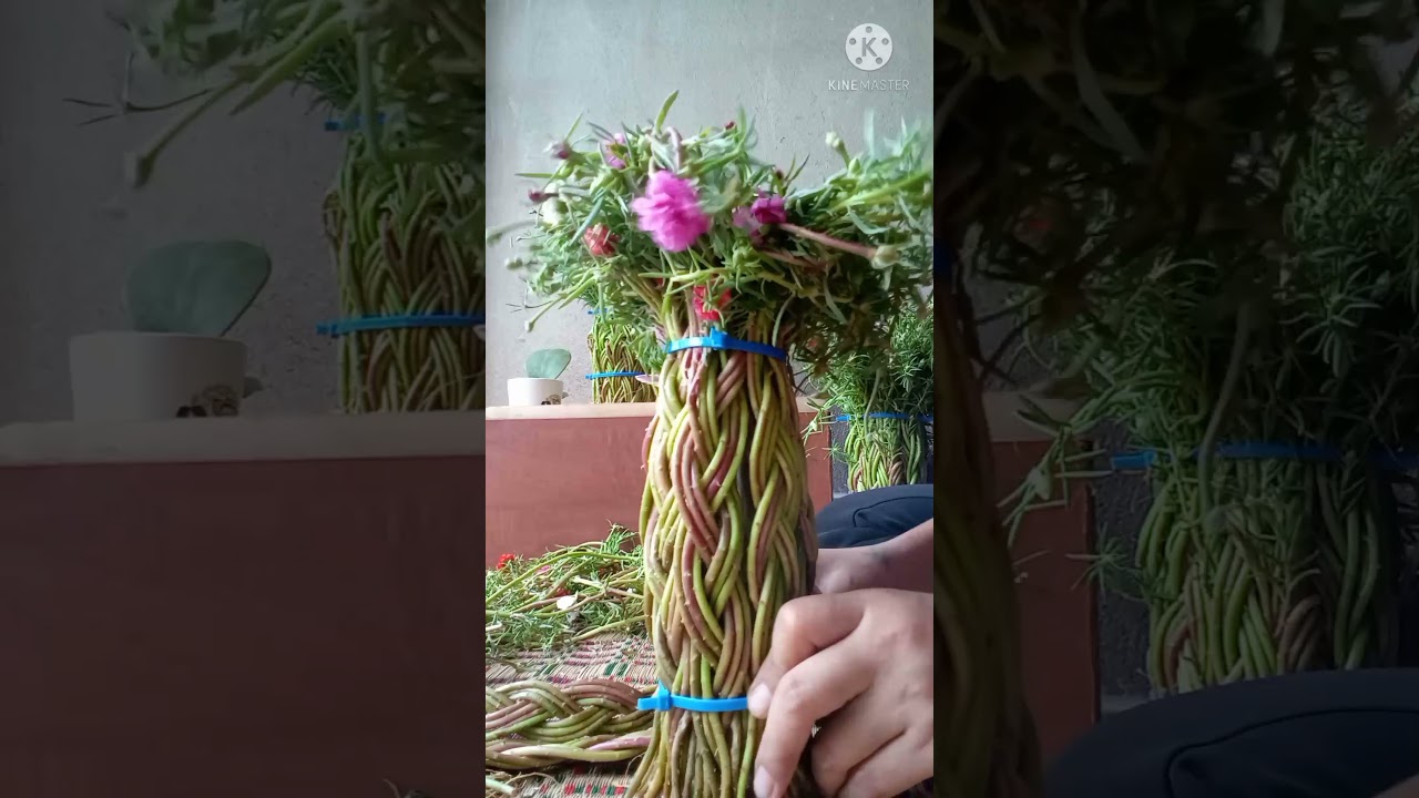 #ถักแพรเซี่ยงไฮ้