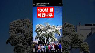 대구제일교회 영천자천교회 견학
