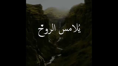 تلاوة خاشعة تلامس الروح بصوت خاشع حالات واتس اب