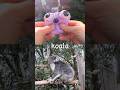 Learn Animal Names for Kids at the Waterfall: Duck Fox Koala Tiger Flamingo