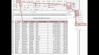 ⁣Filtering records in microsoft excel 2016