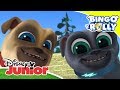 Bingo y Rolly: Momentos Mágicos - Aventuras en la Muralla China | Disney Junior Oficial