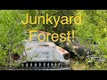 Exploring a country junkyard full of classic cars! I search for a new ride.