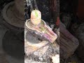 Ghar Ke Andar Chhota Sa Shivling Hona chahie