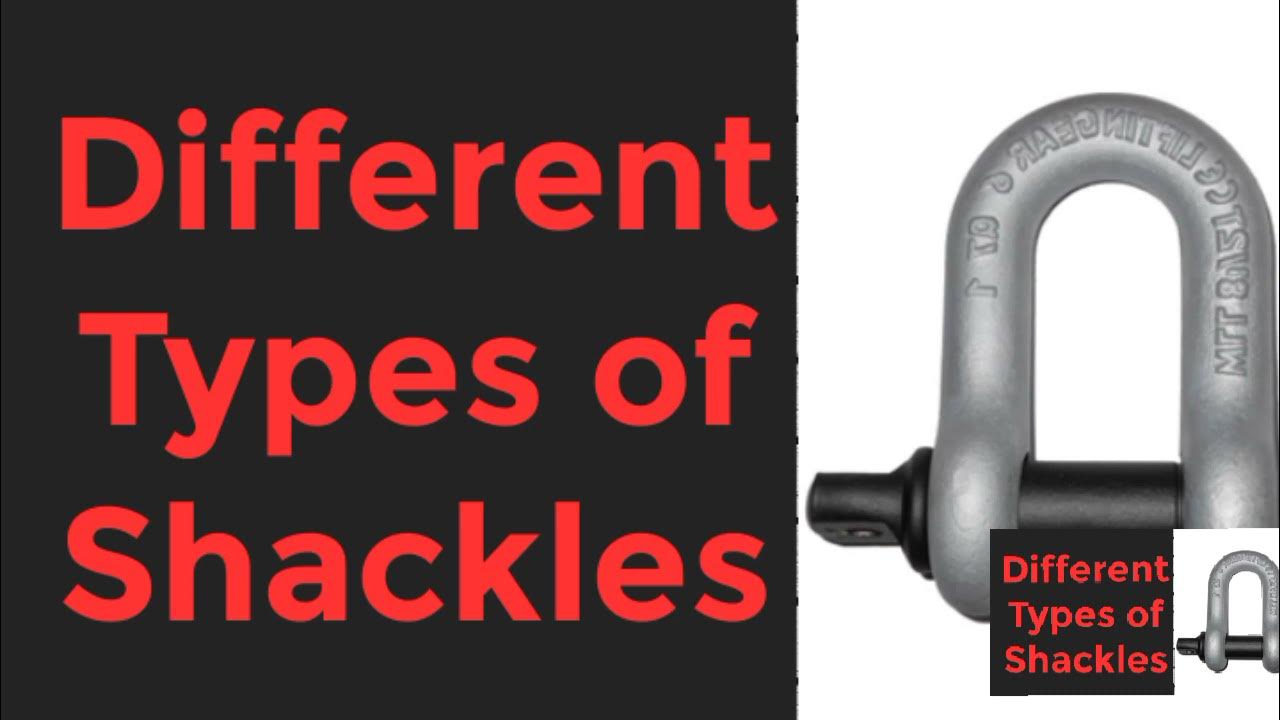 Different Types of Shackles shackles typesofshackshackle YouTube
