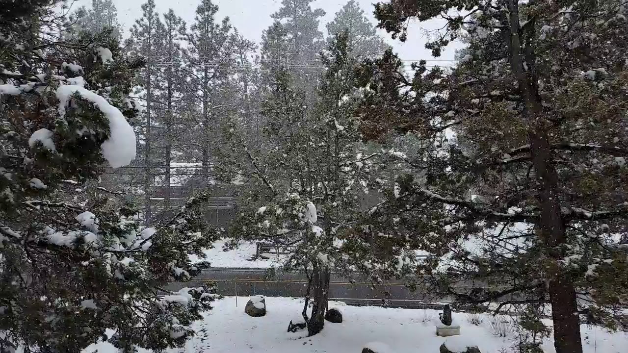 Big Bear Lake, CA snowfall ☃️ YouTube