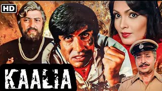 بيدخل السجن 3 مرات وبيخرج ينتقم لاخوه ملخص فيلم كاليا kaalia للعملاق اميتاب باتشان #ملخص #افلام