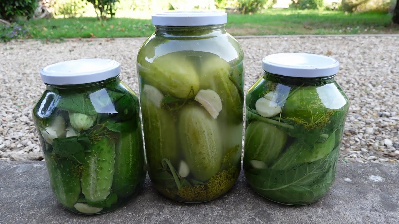 KISZENIE OGÓRKÓW NA DŁUGIE LATA! JAK KIŚIĆ OGÓRKI  czyli nowy cykl #  robimy własne przetwory