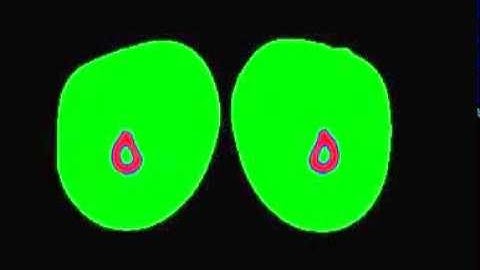 Hidden Markov Models for Legs Segmentation | www.vision-ary.net