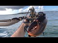 Hauling Lobster Pots and Bass Fishing - Sea Fishing Cornwall
