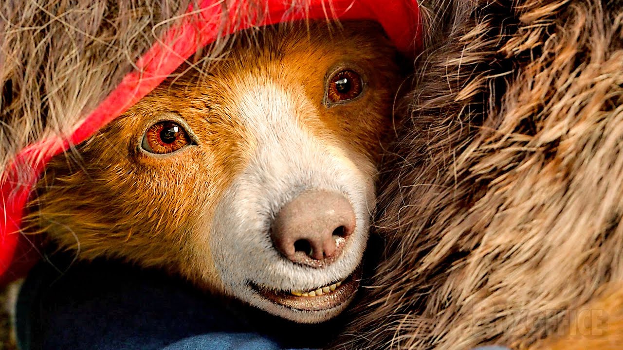 Paddington finds his mama bear | Paddington in Peru | CLIP