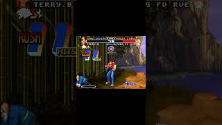 TERRY COMBO ONLY WORK IN TUNG 🤯 #RealBoutFatalFury #FGC #SNK #Arcade #Shorts