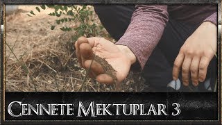 Hamza Yetik -  Cennete Mektuplar 3  Resimi