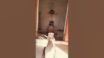 mahadev fight Devon Ke DevMahadev Bholenath 2 Song