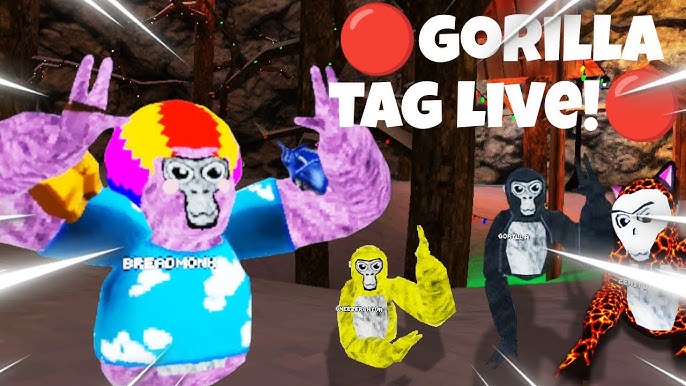 FAN CODES! Gorilla Tag Live! 