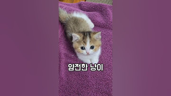 이렇게 이쁘고 착하고 귀여우면 어떻하니? ㅜ
