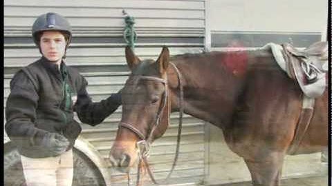 Valley View Ranch - YB Good -  *For up-to-date info, price, etc., go to our website*