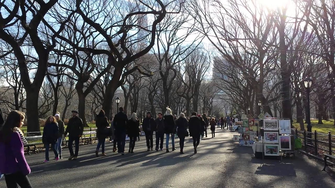 citycell New York Central Park December 2014